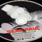 Sean Paul-Tomahawk Technique album
