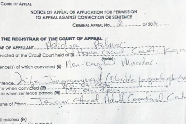 Vybz Kartel appeal documents-april 2014
