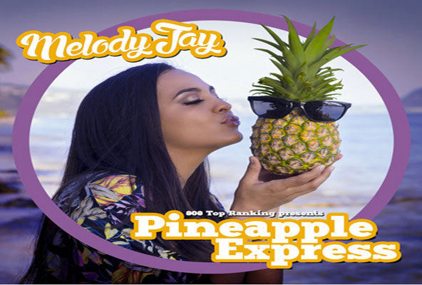 melodi j pineapple express hawaiin reggae summer 2015