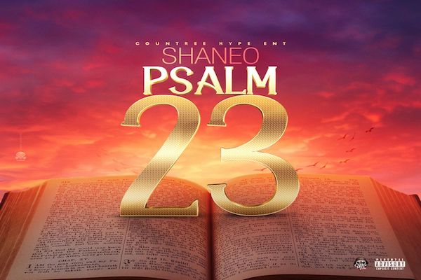 shane o psalm 23 dancehall music video 2021