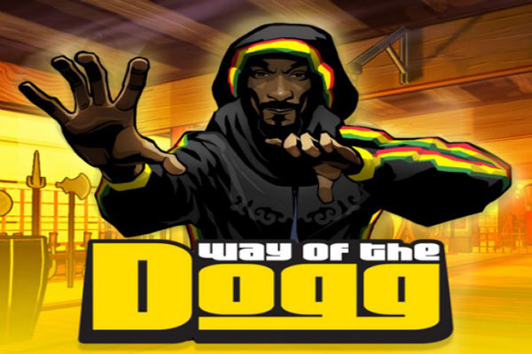 snoop dogg fighting game the way of the lion