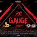 20 gauge riddimÇ mix zj liquid h20 records 2025