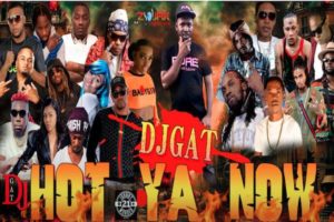 DJ Gat “Hot Ya Now” Dancehall Mixtape 2021 Vybz Kartel, Tommy Lee ...