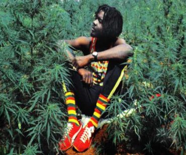 <strong>Celebrate 420 with Alborosie 420 Selection Playlist & The Peter Tosh Foundation In Miami</strong>