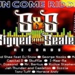 Run Come Riddim mix jamaican reggae music 2021