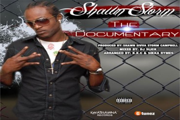 <strong>Stream Shawn Storm “The Documentary” Dancehall Mixtape June 2014</strong>