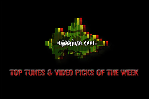 <strong>Top Reggae Dancehall Tunes & Videos Picks Of The Week [Summer 2014]</strong>