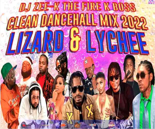 dj zeek lizard & lychee free dancehall mixtape 2022