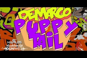 download puppy tale mixtape latest dancehall hits summer 2014