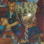 high times cannabis cup 2015 Jamaica