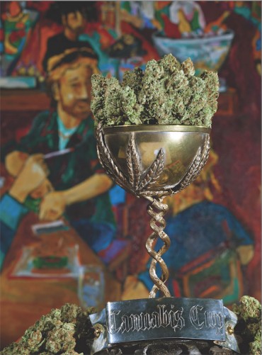 <strong>High Times 2015 Jamaican World Cannabis Cup In Negril</strong>