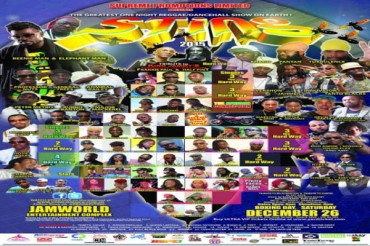 <strong>Reggae Dancehall Music Live Sting 2015 From Then Till Now Full Line Up December 2015</strong>