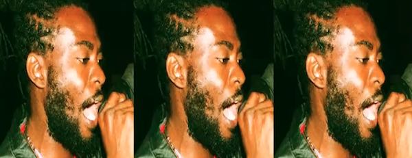 jamaican artist ninja ford