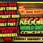 reggae world unity concert miami 2013