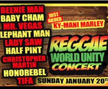 <b>Reggae World Unity Dancehall Reggae Concert Miami January 20 2013</b>