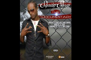 <strong>Stream DJ Slick Shawn Storm ‘The Documentary’ [Dancehall Reggae Mixtape]</strong>