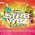 str8 vybz riddimmix january 2025 tj records adidjahiem records