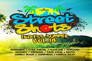<strong>Listen To ‘Street Shots (Endless Summer)’ Dancehall Compilation Vol 14</strong>