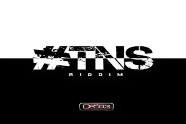 tns riddim mix zj chrome