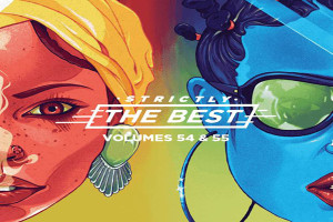 <strong>Top Reggae Dancehall: Strictly The Best Series Vol 54 & 55 VP Records</strong>