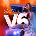 v6 riddim mix 2023 Ireland Records : Chronic Law, Nvasion, Teflon Young King, Malie, Vyzadon, Fully Bad