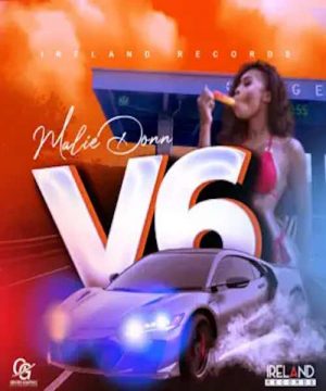 <b>“V6 Riddim” Mix Chronic Law, Nvasion,Teflon Young King, Malie Don, Vyzadon, Fully Bad – Ireland Records 2023</b>