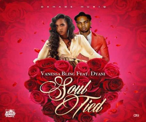vanessa bling dyani SOUL Tied new single 2023