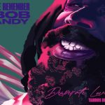 we remeber bob andy tarru riley desperate lover 2023